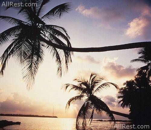 Reethi Beach Resort 40